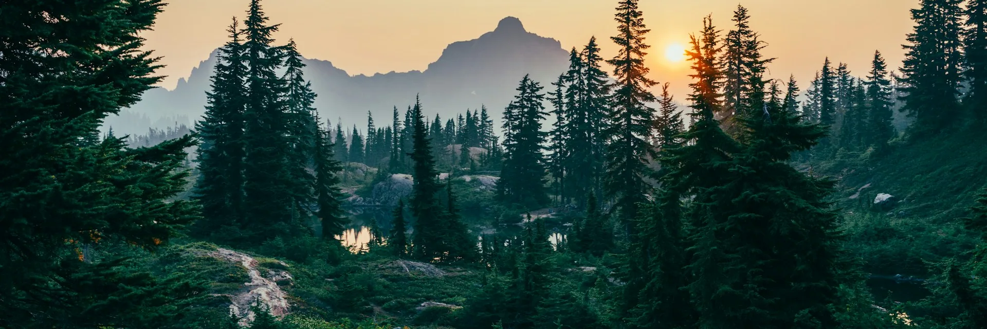 A mountain silhouette rising from pines under a warm golden sky at dusk